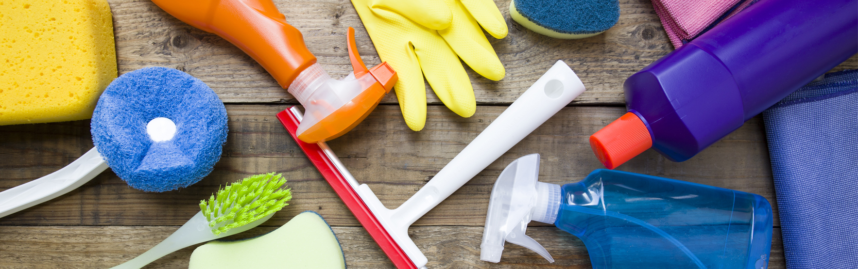 cleaning girl services photo